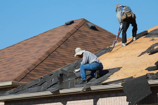 Best Roof Moss and Algae Removal  in USA